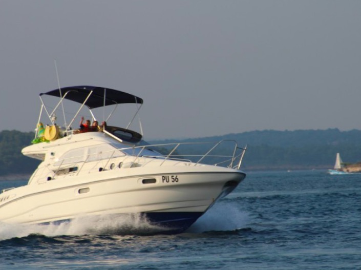 Sealine F33