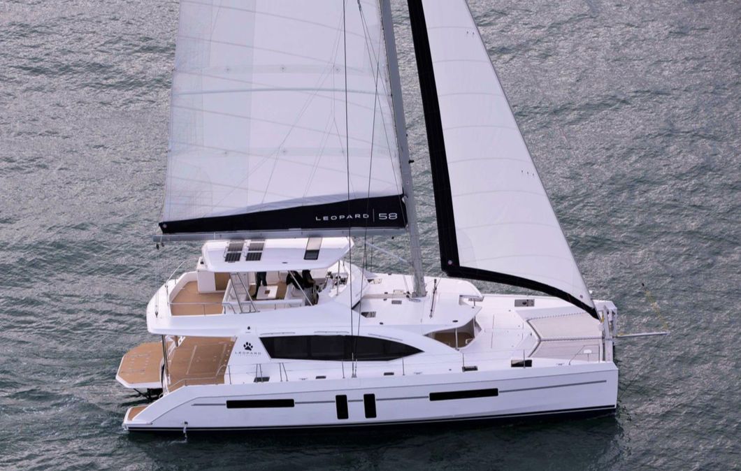 Robertson & Caine Leopard 58