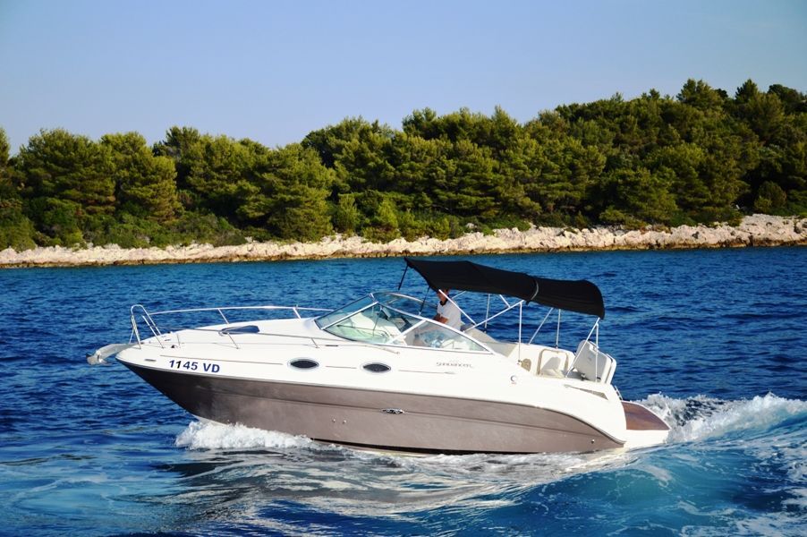 Sea Ray Sea Ray 255 Sundancer