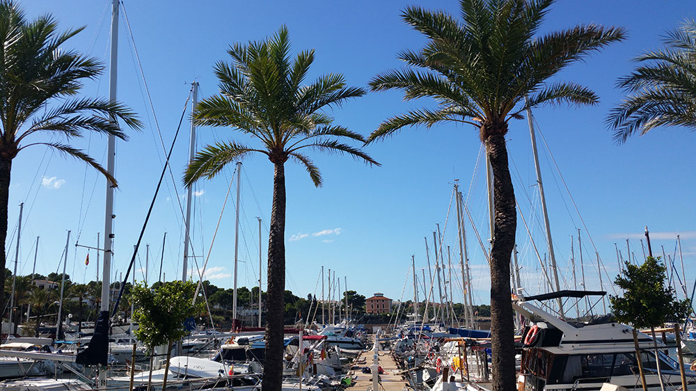 Bavaria Cruiser 50 Innenansicht