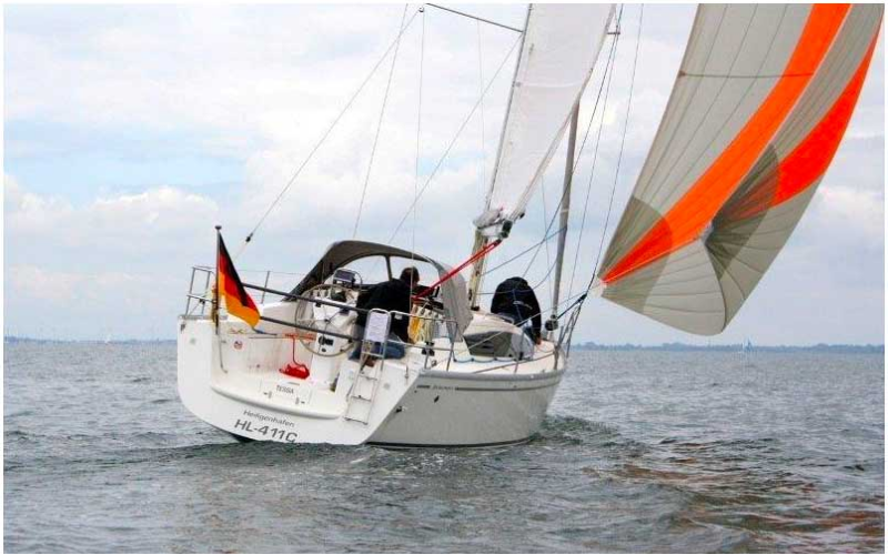 DELPHIA 31  DI