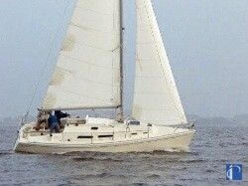 HanseYachts AG Hanse 311