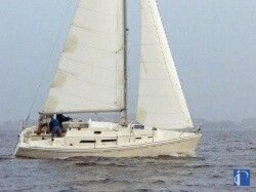 Hanse 311
