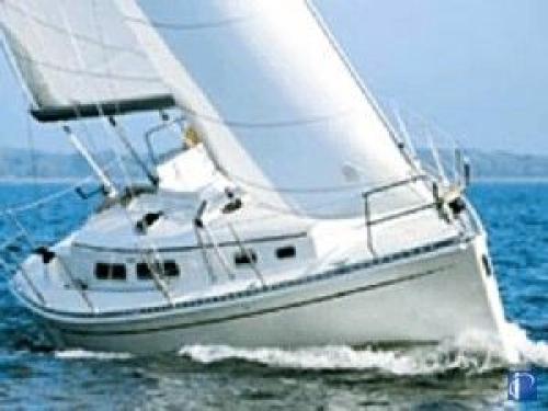 Hanse 311 Außenansicht