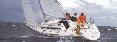 Hanse 331