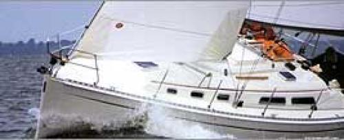 Hanse 331 Außenansicht