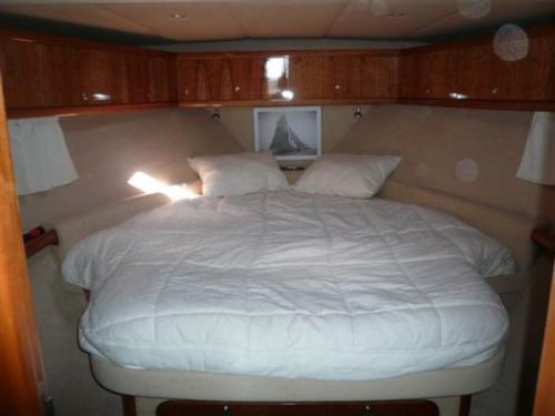 Dynasty 43 Innenansicht