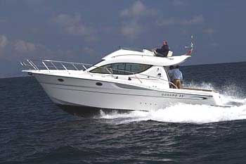 Sessa Dorado 32