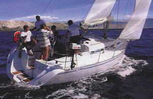 Triplast Y-999