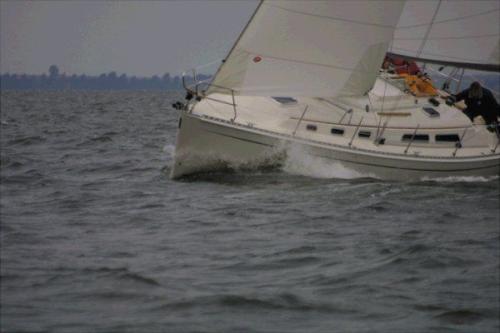 Hanse 341 Außenansicht