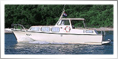 Jupiter Jupiter 30
