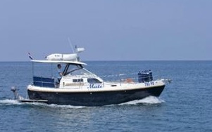 Sasanka Courier 970