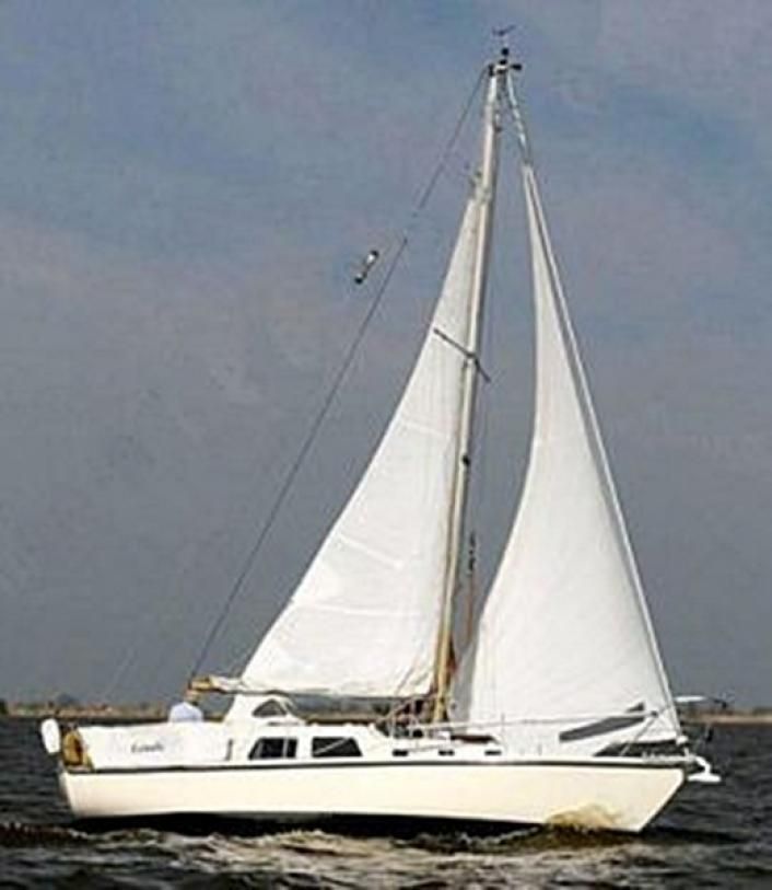 contest yachts Contest 29