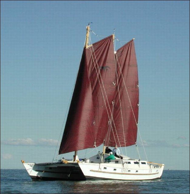 Tiki 38