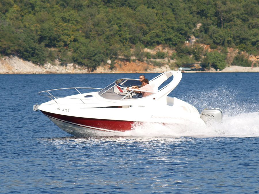 Salpa Laver 20.5