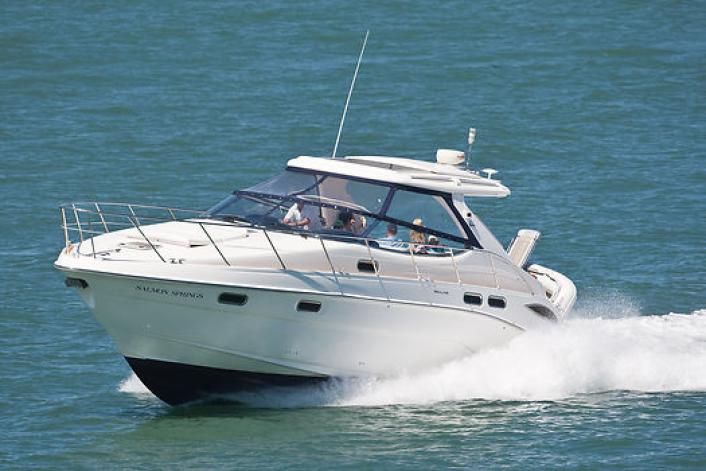 Sealine S41