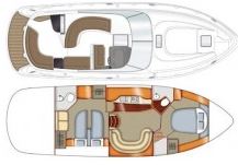 Sealine S42 Grundriss