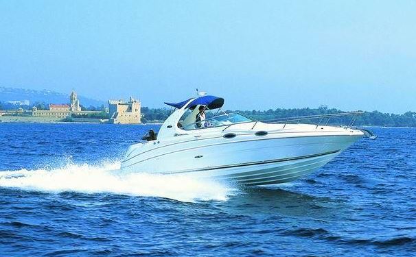 Sea Ray 315 Sundancer Außenansicht