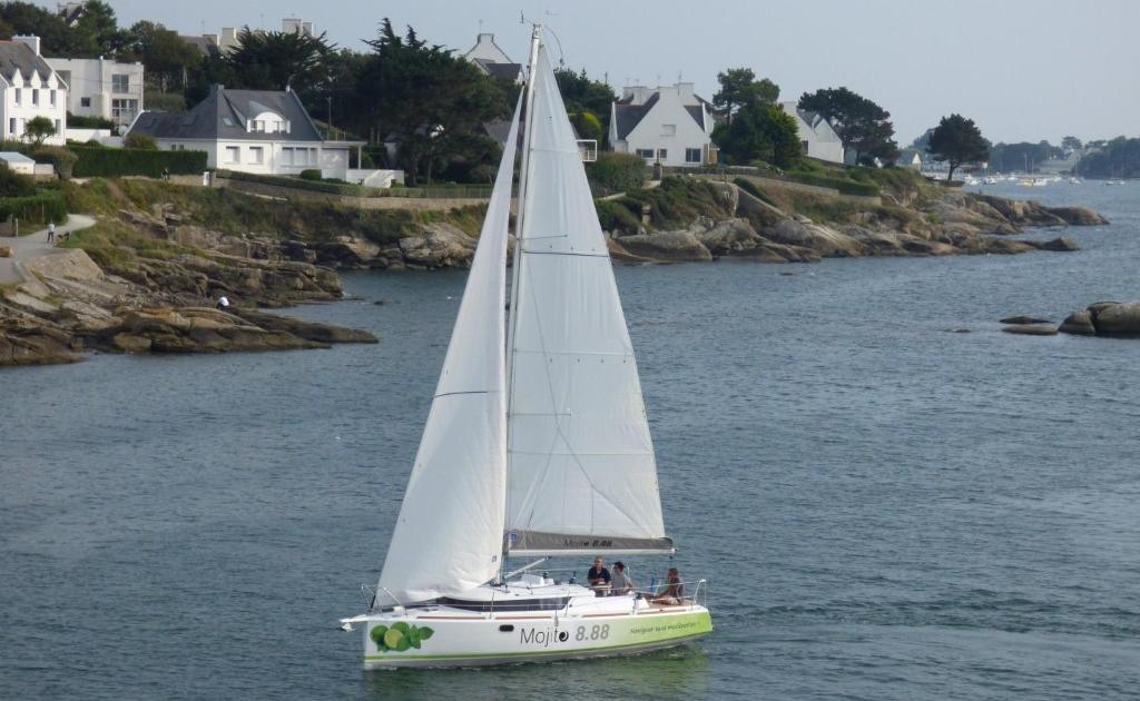 Mojito 888 Top Bild