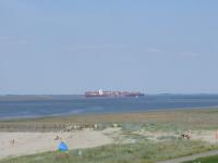 Belgien-Holland Bootscharter Aermelkanal Belgien Westerschelde Strand mit Containerschiff
