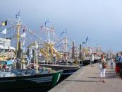 Yerseke-Yachtcharter Niederlande Marina Yerseke