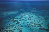 Belize Charter Belize Barrier Riff