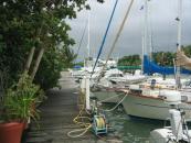 Cucumber Beach Marina-Bootscharter Belize Marina Moho Caye