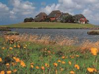 Deutsche Nordsee Bootscharter Nordsee Hallig Hooge