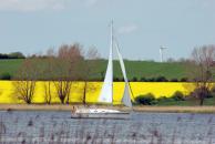 Deutschland-Yachtcharter Ostsee Schlei Rapsfeld Segler