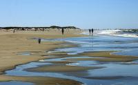 Ijsselmeer Bootscharter Holland Terschelling Strand