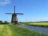 Ijsselmeer Jachtcharter IJsselmeer Friesland Blumen Wiesen