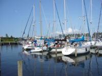 Jachthaven De Vrijheid B.V. Charter Niederlande Marina Jachthaven De Vrijheid