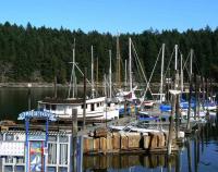Kanada Charter Kanada Nanaimo Marina
