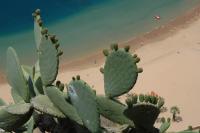 Kanaren Yachtcharter Kanaren Teneriffa Playa de las Teresitas