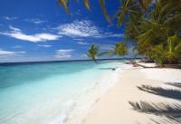 Kleine Antillen Yachtcharter Karibik Palmenstrand