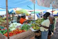 Kleine Antillen Charter Karibik Grenada MArkt