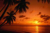 Kleine Antillen Bootscharter Karibik Sonnenuntergaenge Palmen