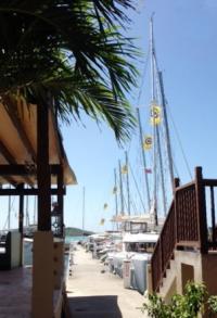 JY Harbour View Marina BVI Totola JY Marina