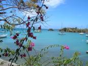 True Blue Bay Marina-Yachtcharter Grenada Marina True Blue Bay