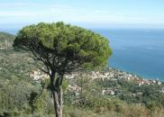 Ligurien-Toskana-Elba-Charter Ligurien Karge Steile Kueste