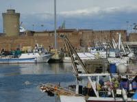 Marina Livorno Charter Italien Marina Livorno