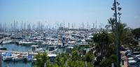 Alcudia Charter Spanien Marina Alcudiamar