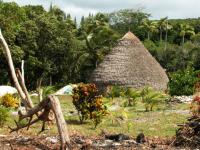 Neukaledonien Charter Neukaledonien Lifou Huette