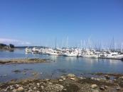 Port Sidney Marina-portsidneymarina