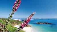 Südengland Bootscharter Aermelkanal Kanalinseln strand blumen