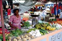 Seychellen Charter Seychellen Mahe Markt