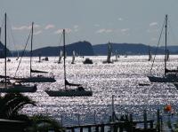 Church Point Marina Yachtcharter Australien Marina Pittwater