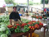 Tonga Yachtcharter Tonga Neiafu Markt