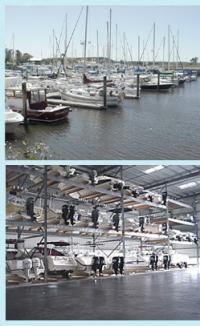 Marina Amelia Island Bootscharter USA Marina Amelia Island