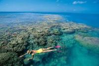 Whitsundays / Great Barrier Reef Yachtcharter Australien Whitsundays Schnorcheln Riff vor Whitsunday Island